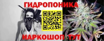 индика Моздок