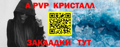 индика Моздок