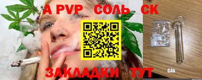 индика Моздок