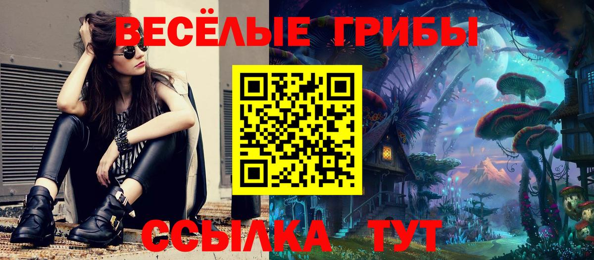 Псилоцибиновые грибы ЛСД  Вход с VPN  что такое   Галлюциногенные грибы GOLDEN TEACHER  Чистополь 